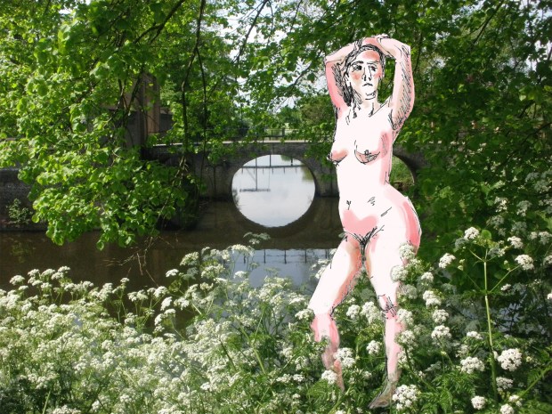 OLYMPUS DIGITAL CAMERA